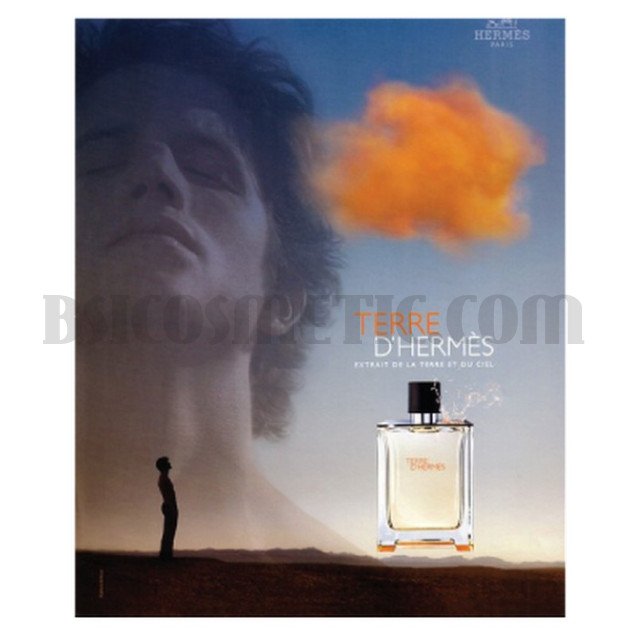 Hermes Terre d'Hermes за мъже без опаковка - EDT 100 мл.