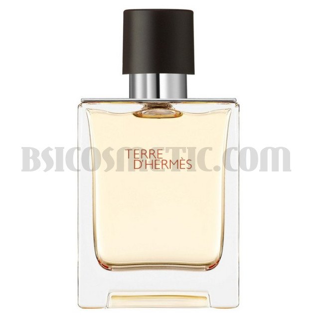 Hermes Terre d'Hermes за мъже без опаковка - EDT 100 мл.