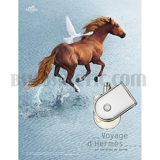 Hermes Voyage d'Hermes унисекс без опаковка - EDT Hermes Voyage d'Hermes унисекс без опаковка - EDT
