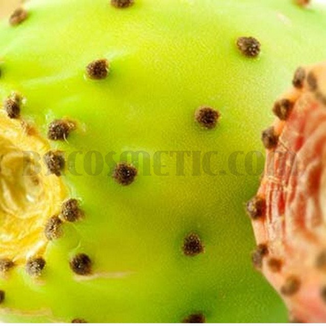 Успокояващ шампоан с екстракт от индийска смокиня Eugène Perma 1919 Soothing Shampoo Успокояващ шампоан с екстракт от индийска смокиня Eugène Perma 1919 Soothing Shampoo